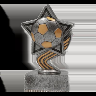 Sportprijzen Leiden Sport Trofee - Voetbal Ster