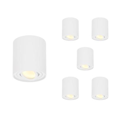 Set van 6 Ray LED opbouwspots - Rond - Dimbaar - 4 Watt 345 lumen - 2700K warm wit - Kantelbaar - GU10 - Plafondspot - IP20 Voor binnen - Wit