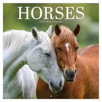 Paarden Kalender 2026