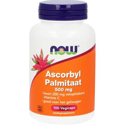 Ascorbyl palmitaat 500mg 100 Vegetarische capsules