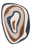 Vloerkleed Livorno 701 Multi 160x230cm