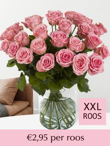 Roze rozen XXL - Kies je aantal (Sophia Loren) - 10 t/m 99 rozen