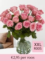 Roze rozen XXL - Kies je aantal (Sophia Loren) - 10 t/m 99 rozen - thumbnail
