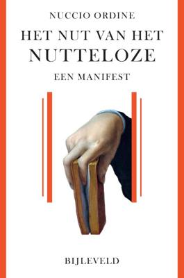 Het nut van het nutteloze (Paperback)