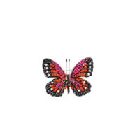 Day&Eve Broche Sparkly Butterfly | Goud