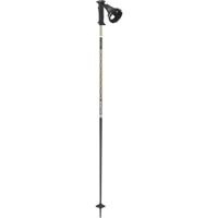 Salomon Polar Prime Ergo S3 Skistok Light Bronze Metallic 110