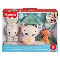 Fisher Price zoveel zintuigen cadeauset