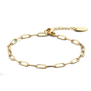 CO88 Collection Elemental 8CB 90642 Stalen schakel armband - 19,5 cm - goudkleurig