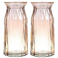 Bellatio Design Bloemenvaas - 2x - amber bruin glas - D12 x H24 cm - Vazen - thumbnail