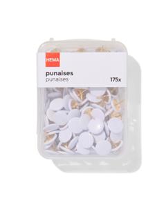 HEMA Punaises - 175 Stuks
