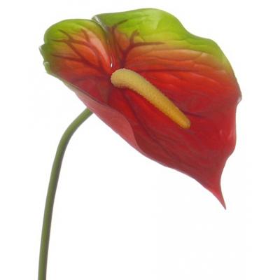Bellatio flowers & plants Anthurium kunstbloem tak - rood met groen - 78 cm - stelen Bellatio flowers & plants Anthurium kunstbloem tak - rood met groen - 78 cm - stelen