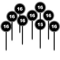 Verjaardagsfeest leeftijd cocktailprikkers - 16 jaar - 24x - thema stopbord zwart - sweet sixteen - thumbnail