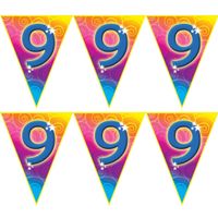 4x stuks verjaardag thema 9 jaar geworden feest vlaggenlijn van 5 meter 4x stuks verjaardag thema 9 jaar geworden feest vlaggenlijn van 5 meter