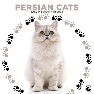 Perzische Katten Kalender 2026