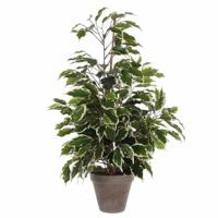 Kunstplant Ficus - groen/wit - 65 cm - binnen - kunstplanten/nepplanten/binnenplanten