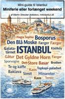 Mini-guide til Istanbul: Miniferie eller forlænget weekend - Martin Strecker Adelskov - ebook
