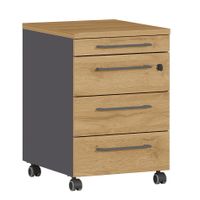 Rolcontainer Ergonoma Eiken