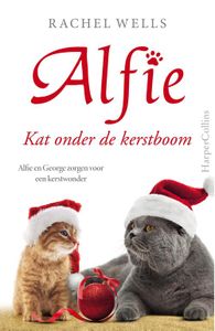 Kat onder de kerstboom - Rachel Wells - ebook
