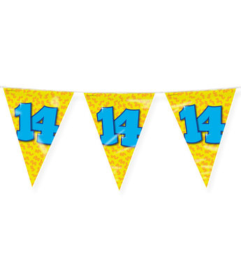 Happy Verjaardag Vlaggenlijn 14 Jaar (10m)