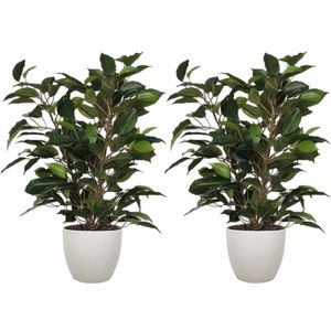 2x stuks groene ficus kunstplant 40 cm met plantenpot taupe D13.5 en H12.5 cm