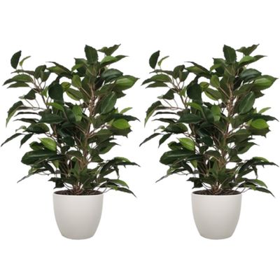 2x stuks groene ficus kunstplant 40 cm met plantenpot taupe D13.5 en H12.5 cm