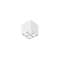 Wever & Ducre - Linoo Oppervlak 4.1 Plafondlamp