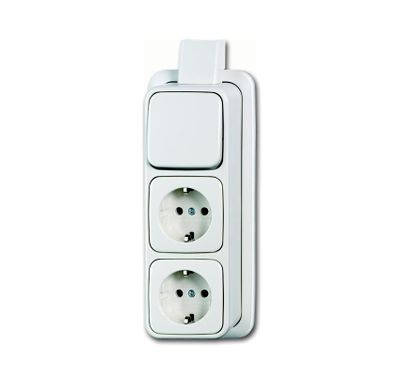 Wisselcombinatie met 2 stopcontacten randaarde 2601 6 2300 2EAPJW BJ
