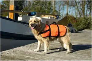 Beeztees veiligheidsvest/zwemvest - hond - l - 23-41kg