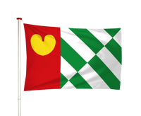 Vlag Tijnje - Tynje (fr)