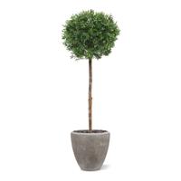 Ilex bol kunstboom op stam 135cm - UV bestendig