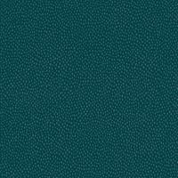 Dutch Wallcoverings Patagonia - Pinto - Teal