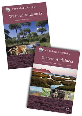 Crossbill Nature Guides Andalucia west and east - package deal