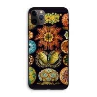 Haeckel Ascidiae: iPhone 11 Pro Max Biologisch afbreekbaar hoesje