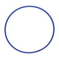 RHYTHMIC GYMNASTICS HOOP ADULTS