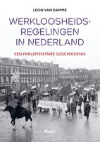 Werkloosheidsregelingen in Nederland (Hardback)