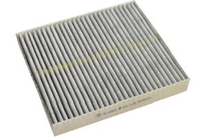 AMC Interieurfilter Carbon NC2002C