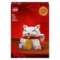 LEGO 40813 gelukskatje