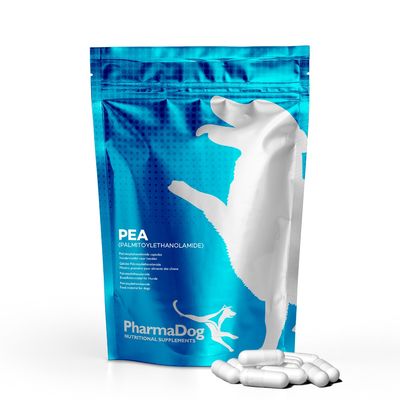 PEA (palmitoylethanolamide) hond