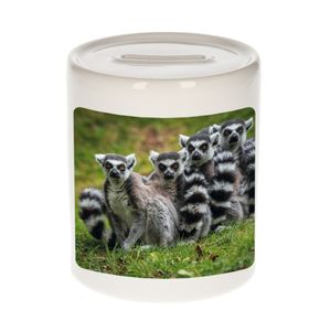 Dieren foto spaarpot maki familie 9 cm - maki apen spaarpotten jongens en meisjes