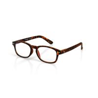 Blueberry Vintage Klein havanna