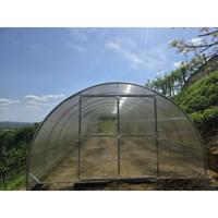 Tunnelkas Polycarbonaat 4 x 12 Meter