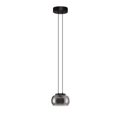 Lyora Moderne hanglampBios enkel zwart - 9416954