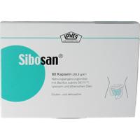Laves sibosan Laves sibosan