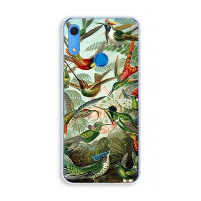 Haeckel Trochilidae: Huawei Y6s Transparant Hoesje