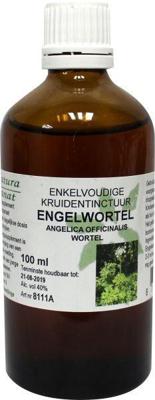 Natura Sanat Angelica officinalis/engelwortel tinctuur bio
