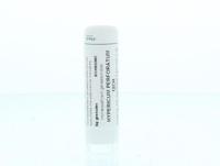 Homeoden Heel Hypericum perforatum 12CH 6 Gram