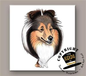 Shetland Sheepdog tegel