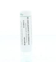 Homeoden Heel Hydrastis canadensis D6 6 Gram