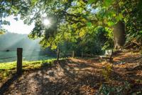 Tuinschilderij morning mood 70x50cm - Customize it