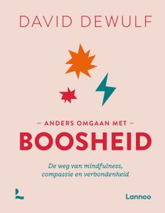 Anders omgaan met boosheid - David Dewulf - ebook